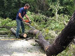 Best Lawn Mowing  in Riverview, FL