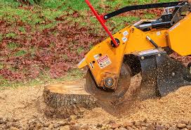 Best Grass Overseeding  in Riverview, FL